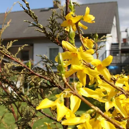 Clemens - Wohnküche + 2 Schlafräume + Bad + Terrasse