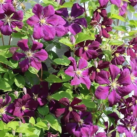 Clemens - Wohnkueche + 2 Schlafraeume + Bad + Terrasse Hamm