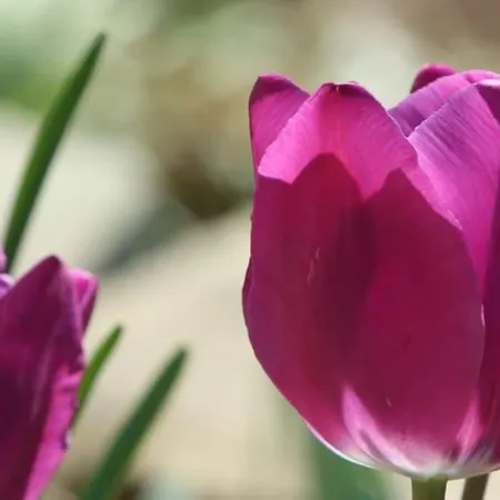 Clemens - Wohnkueche + 2 Schlafraeume + Bad + Terrasse Apartmán *