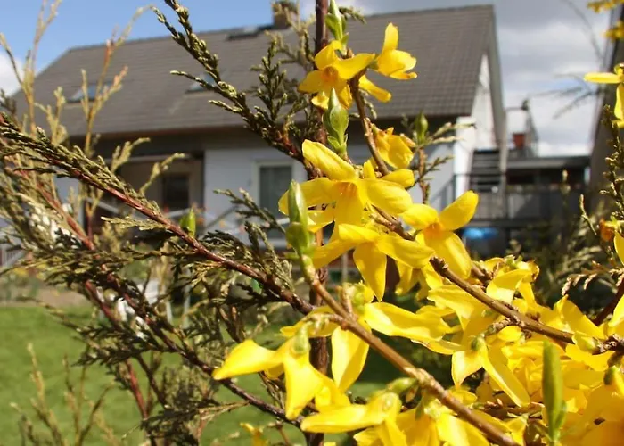 Clemens - Wohnkueche + 2 Schlafraeume + Bad + Terrasse
