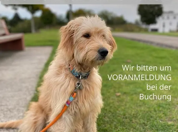 Clemens - Wohnkueche + 2 Schlafraeume + Bad + Terrasse Appartement Hamm (North Rhine-Westphalia)